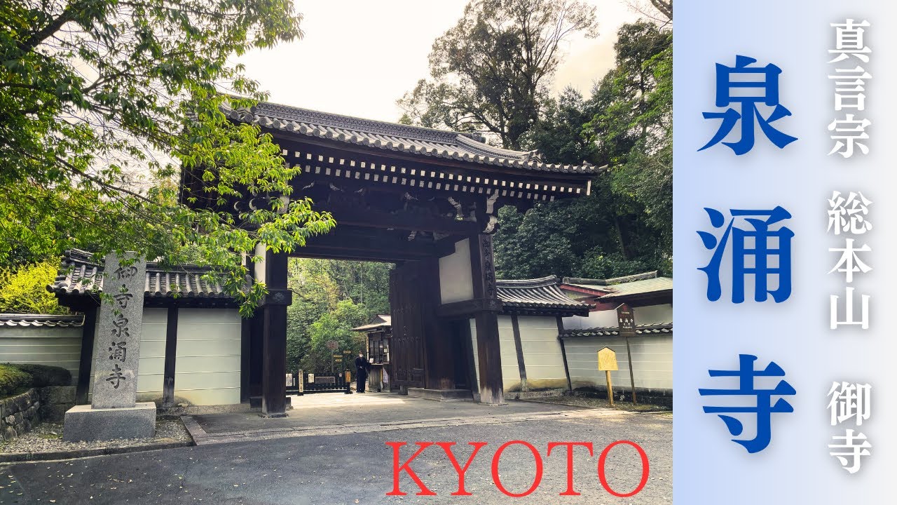 【公式解説】 泉涌寺の見どころ丸ごと紹介！！ -真言宗総本山御寺 - 神秘的なパワースポット 楊貴妃観音 との出会い #観光 #京都観光 #パワースポット