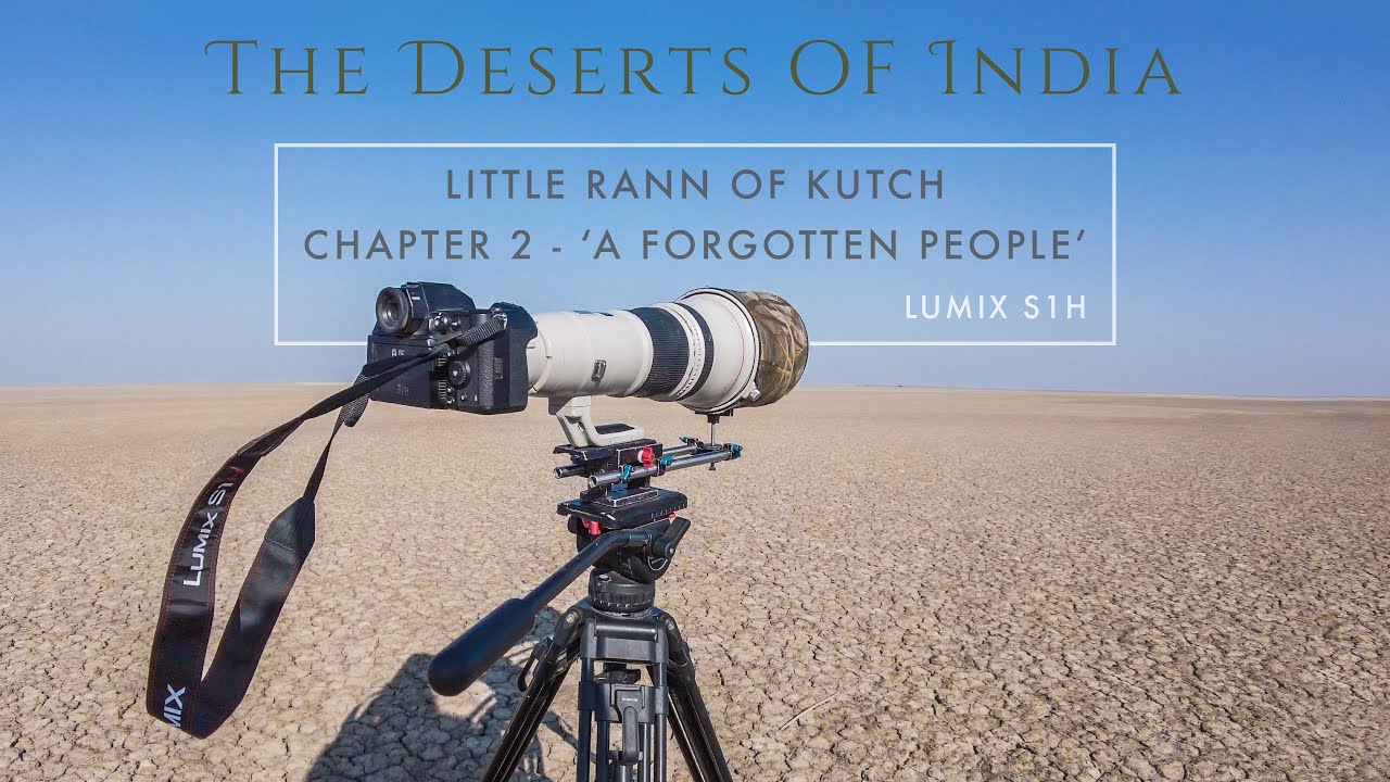 A FORGOTTEN PEOPLE | Wildlife Photography in the Little Rann of Kutch | DESERTS OF INDIA - Chapter 2