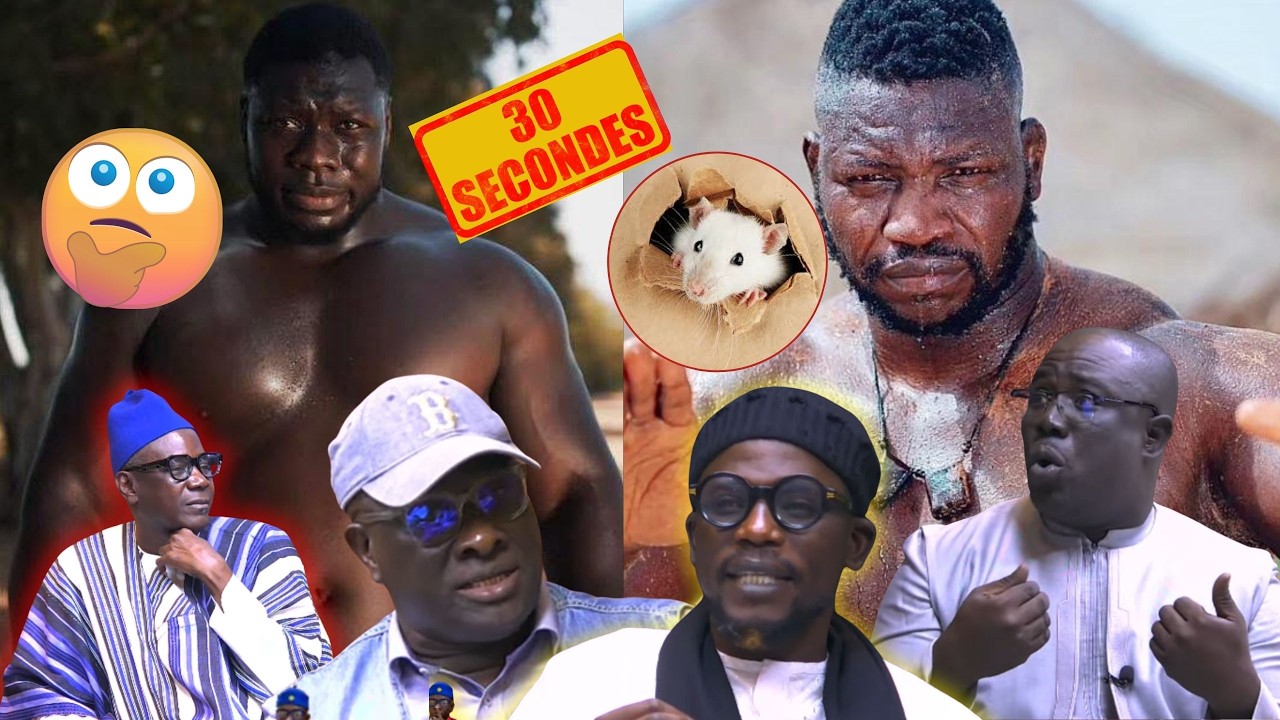 DEBAT TRES HOULEUX SUR LE COMBAT DU 15 FEVRIER ENTERE FRANC VS TAPHA TINE