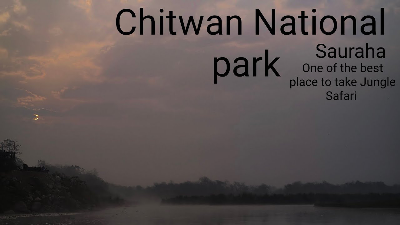 Chitwan National Park Vlog 🇳🇵 | Jungle Safari, Rhino & Wild Adventure 2026.Travel with me @sabinmdr 