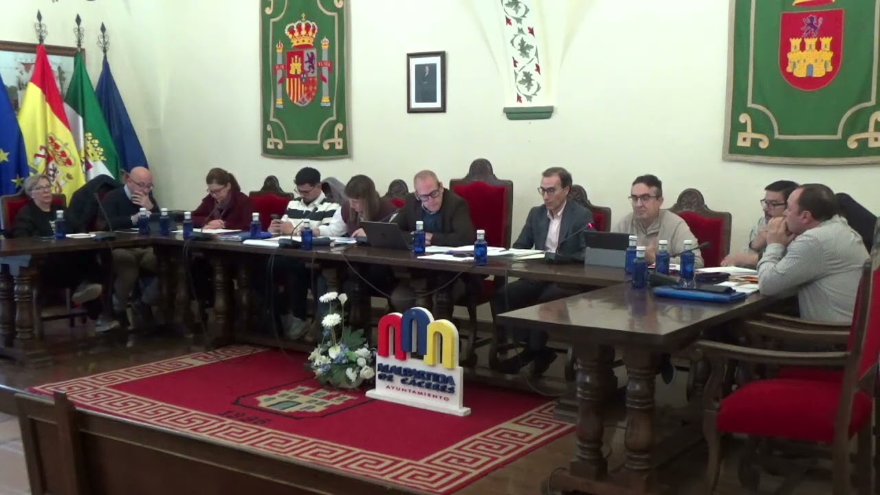 Pleno enero 2025