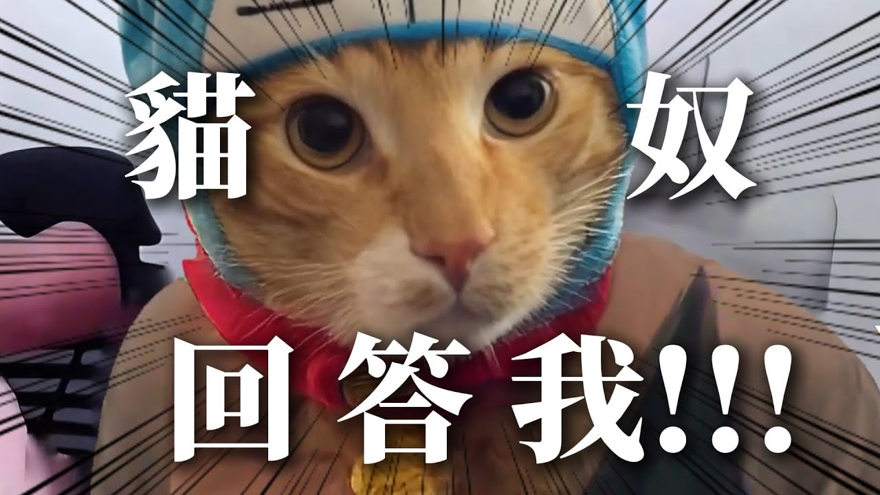 回答我!貓奴都哭了??把貓皇DIO拍成小明劍魔迷因會怎樣?
