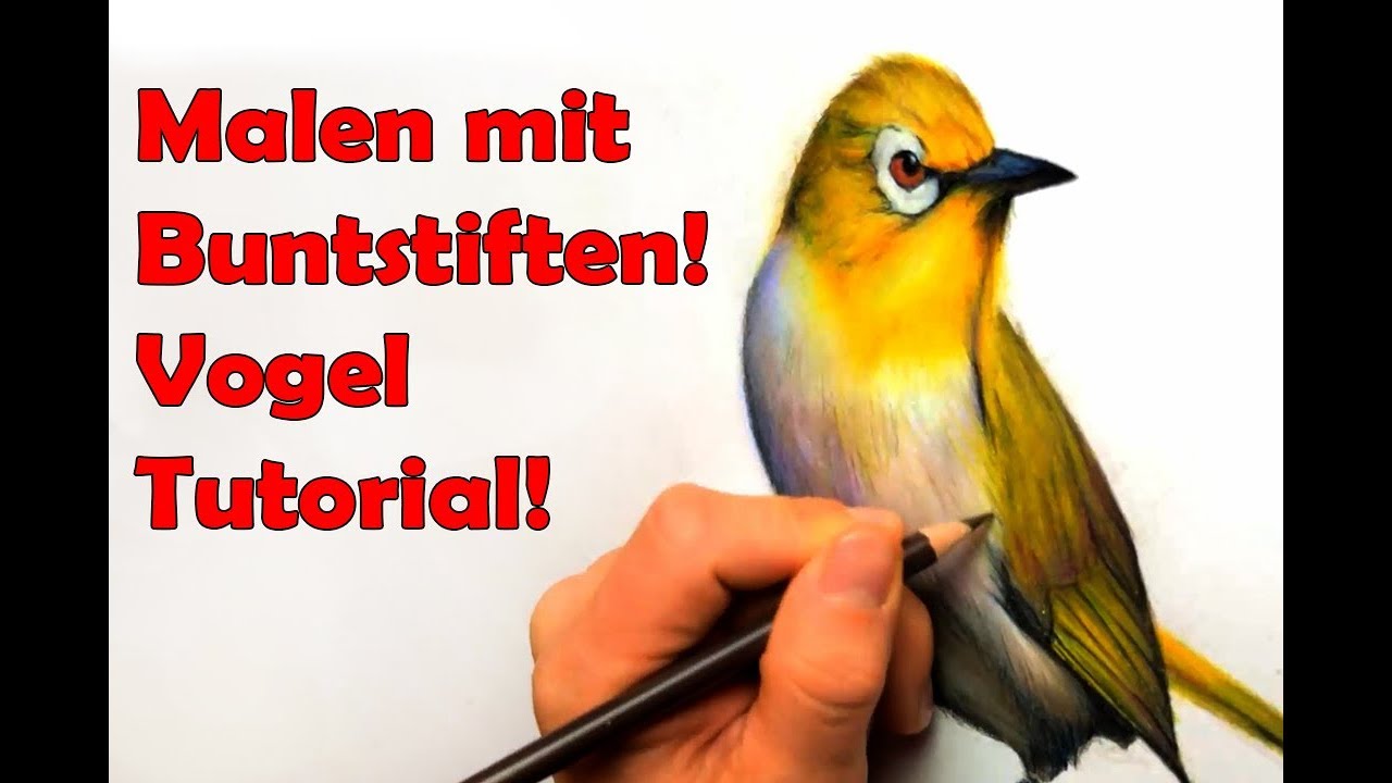 Malen mit Buntstiften - Wie zeichnet man mit Prismacolor und Polychromos Stiften - Vogel zeichnen