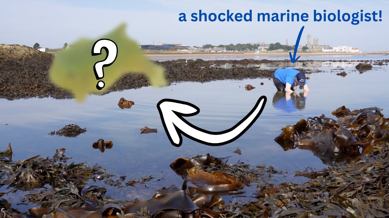 I have only seen this once before.