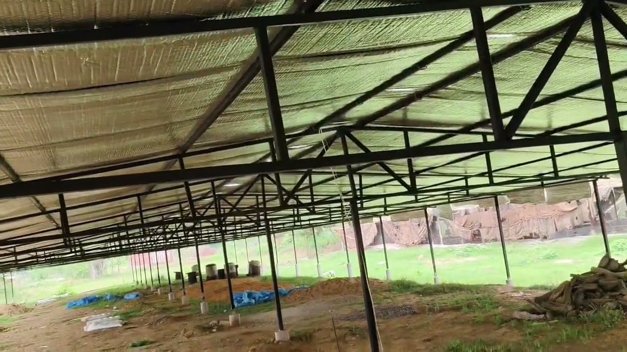 insulation sheet installation in ec Poultry farm ऐसा बनाओ पोल्ट्री फार्म कम खर्च में तैयार हों जाएगा