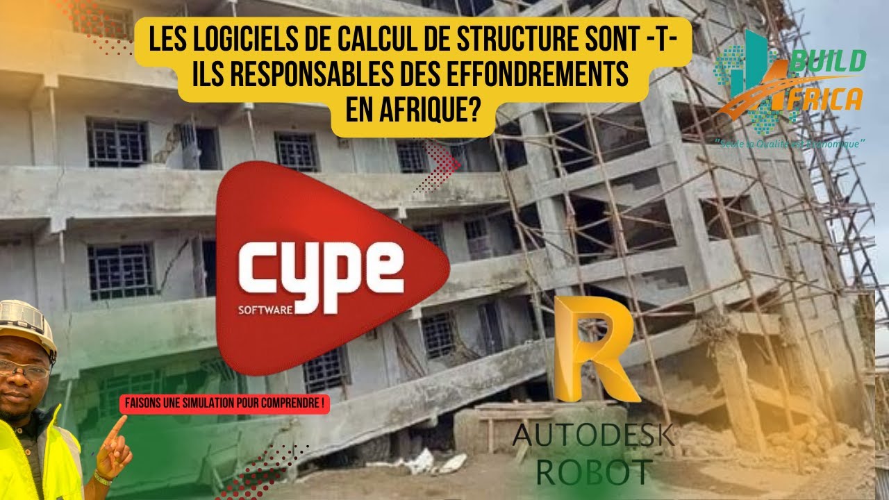 ROLE DU LOGICIEL DANS LES EFFONDREMENTS EN AFRIQUE