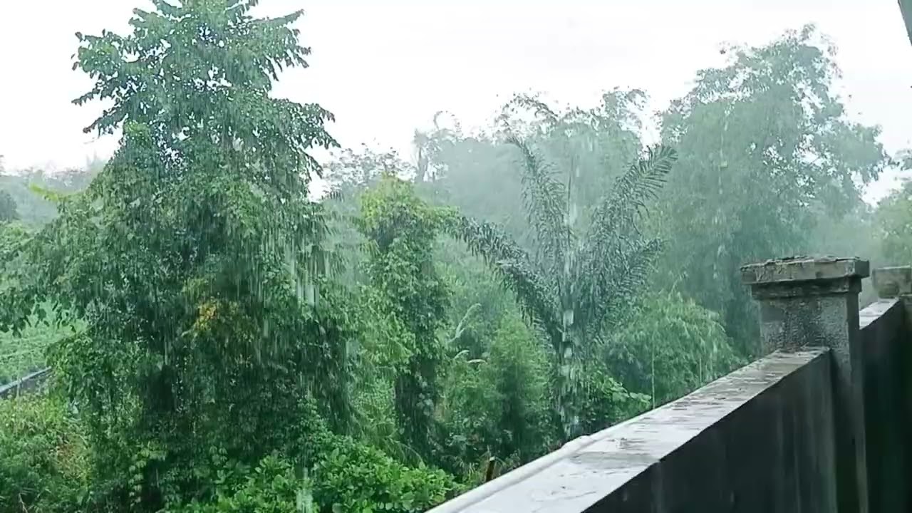Heavy Rain for Deep Sleep: Relaxing Rain Sounds All Night Long 🌧️💤