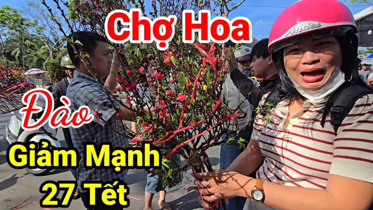 Tin Nóng Sáng 27 Tết: Đào Giảm Giá Vẫn Bán Chạy | Mai, Quất, Hoa Cúc Đồng Loạt Hạ Giá Cận Tết 2026