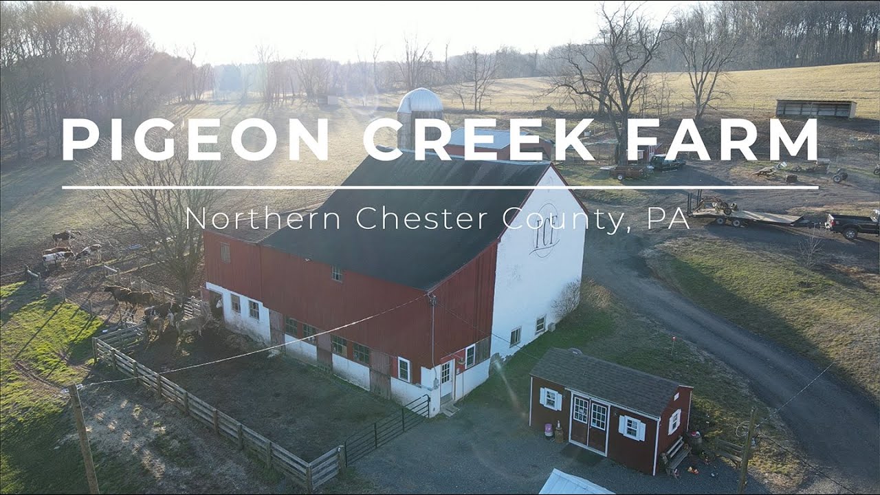 Pigeon Creek Farm Documentary