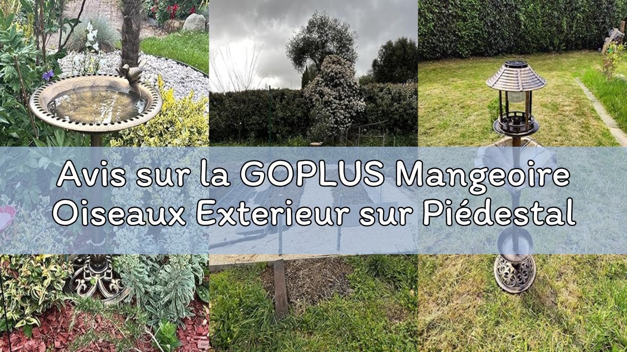 Avis sur la GOPLUS Mangeoire Oiseaux Exterieur sur Piédestal 3 en 1 avec Lumière Solaire, Dia. 50 CM