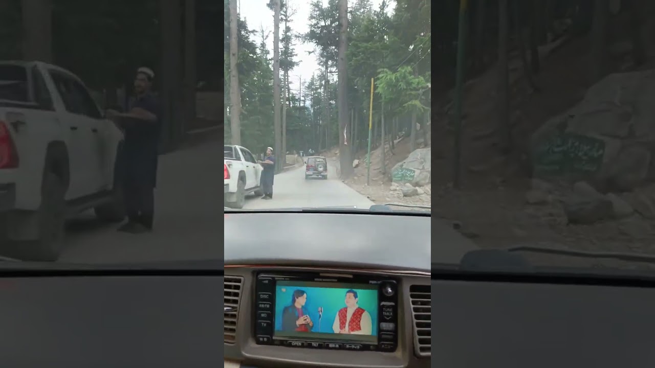 Kalam Forest