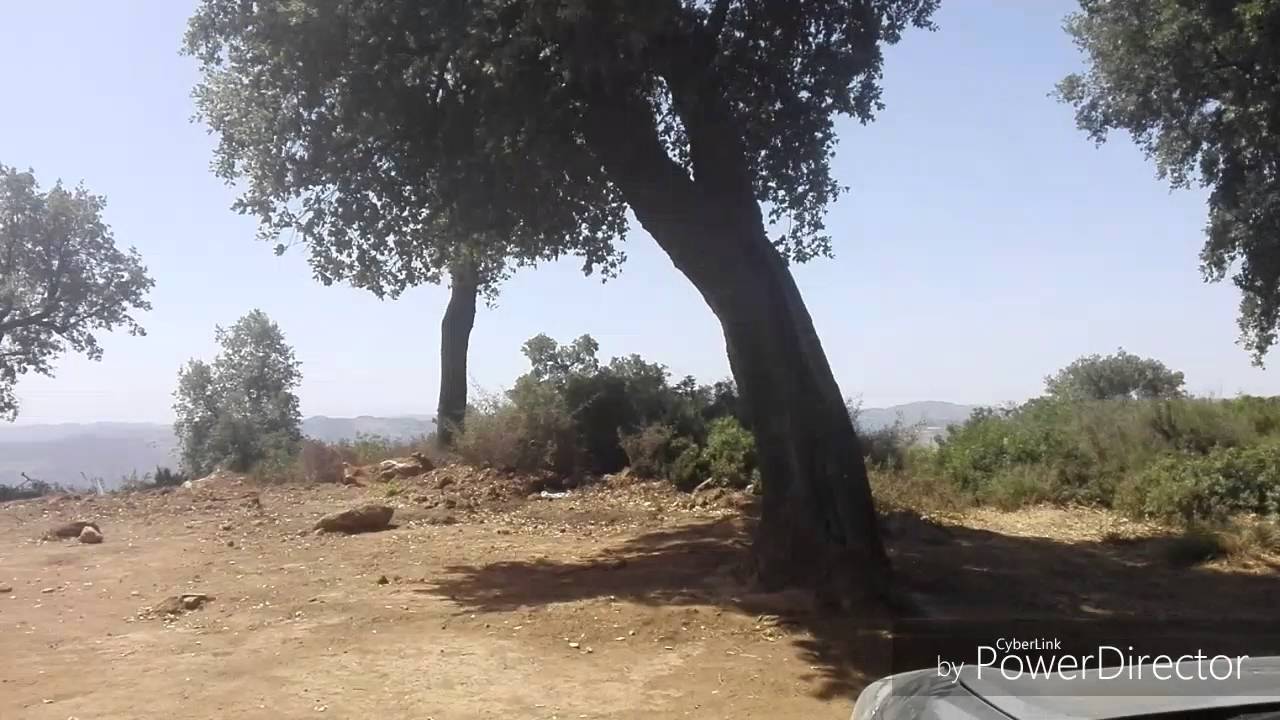 مناظر طبيعية خلابة باعالي جبال عرقوب الاخضرية