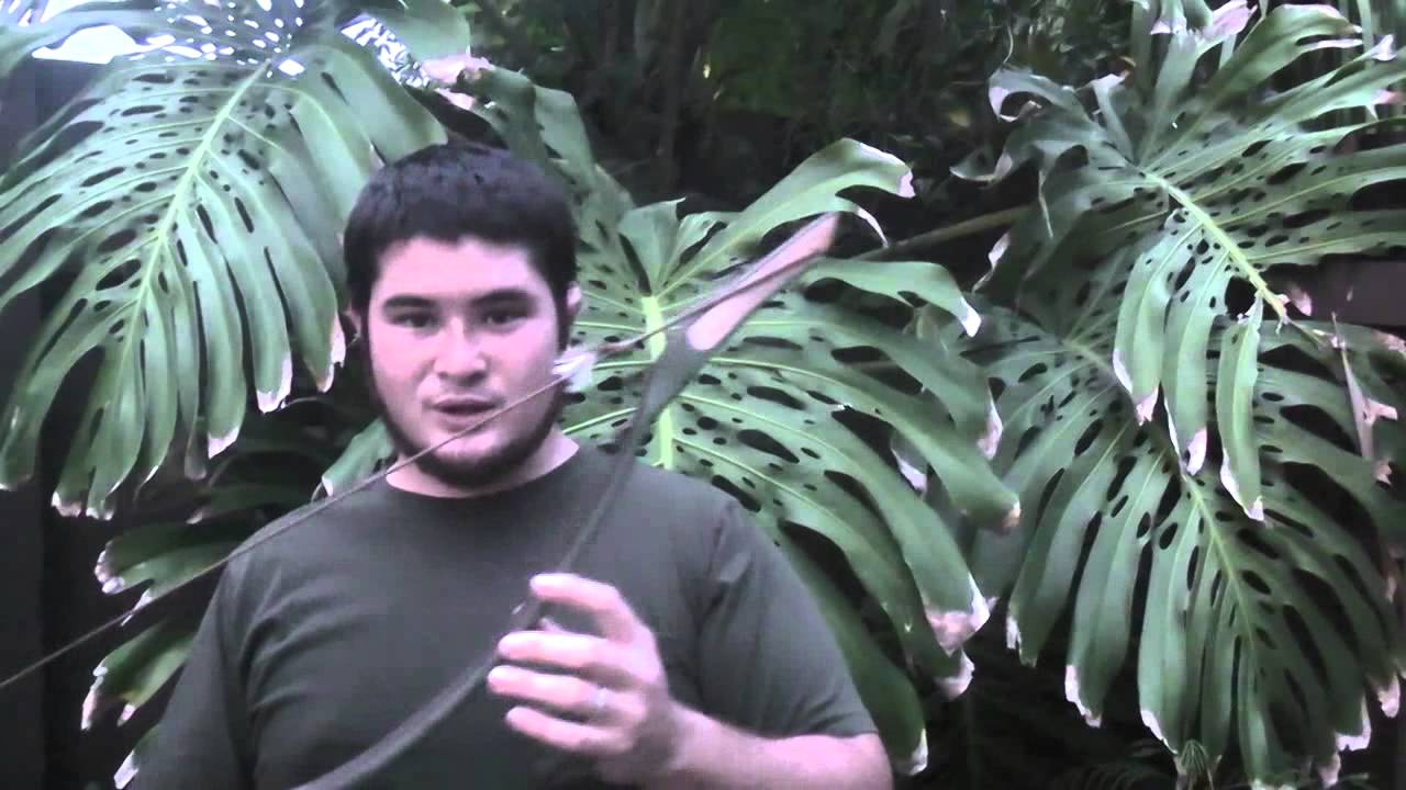 Mele Kalikimaka and a New Bow