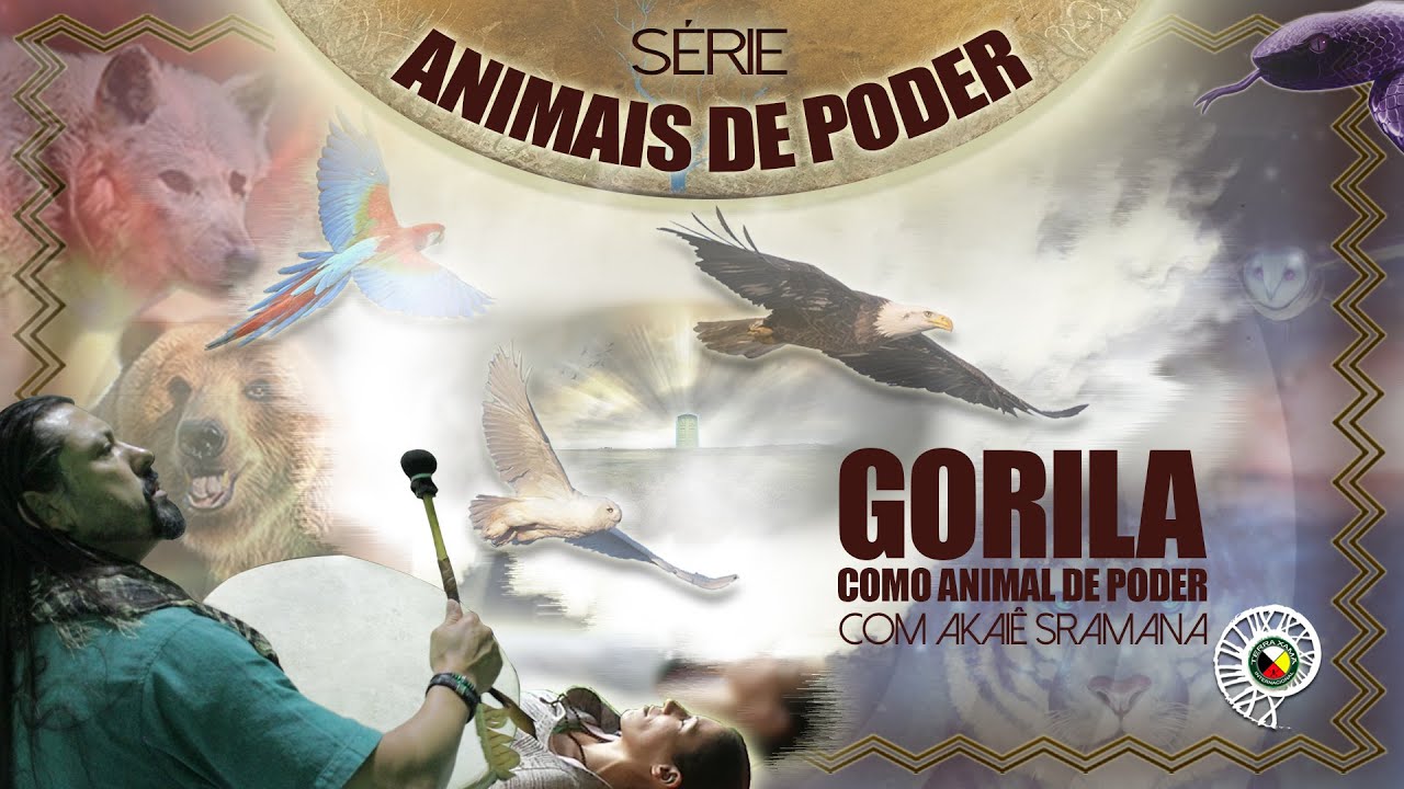 Gorila » Como Animal de Poder » Akaiê Sramana