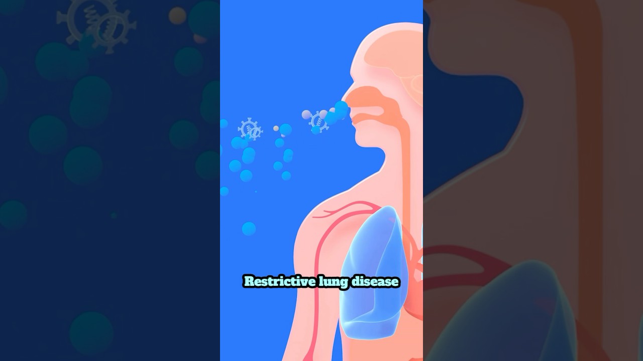 Three types of lung diseases explained: Restrictive, obstructive & vascular #lungs #breathing