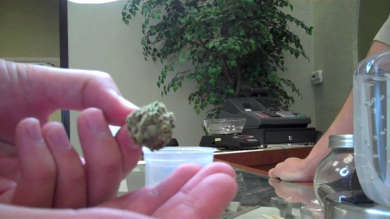 Bootcamp- Tang Visits Chubbs at CPA Dispensary in Santa Ana