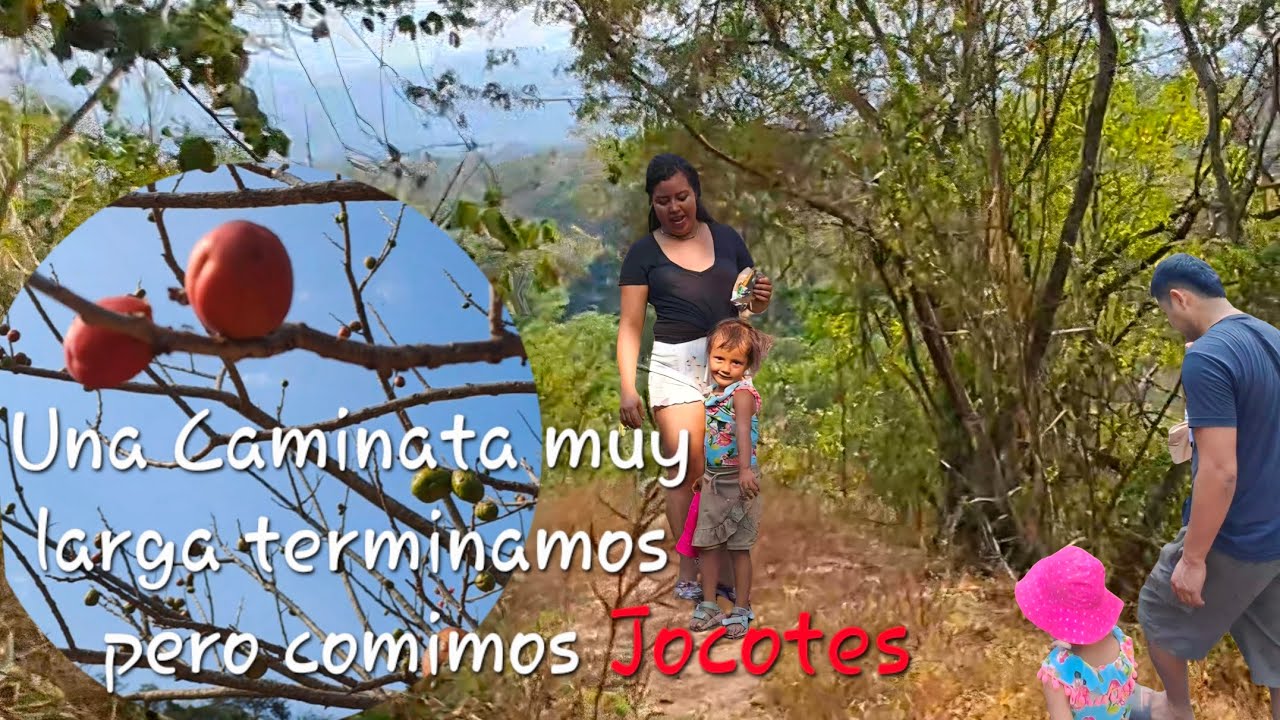 Decidimos ir a caminar y encontramos esta rica fruta. #elsalvador #travel #caminata 