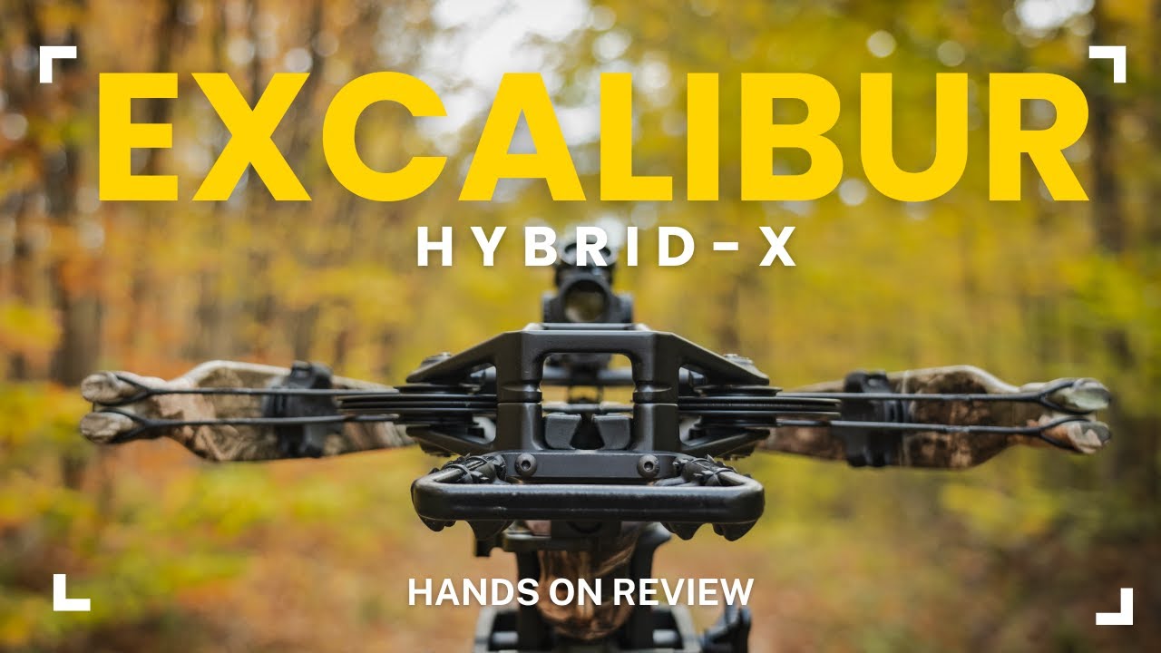 Знакомство с Excalibur Hybrid X — моим спутником в сезоне стрельбы из лука