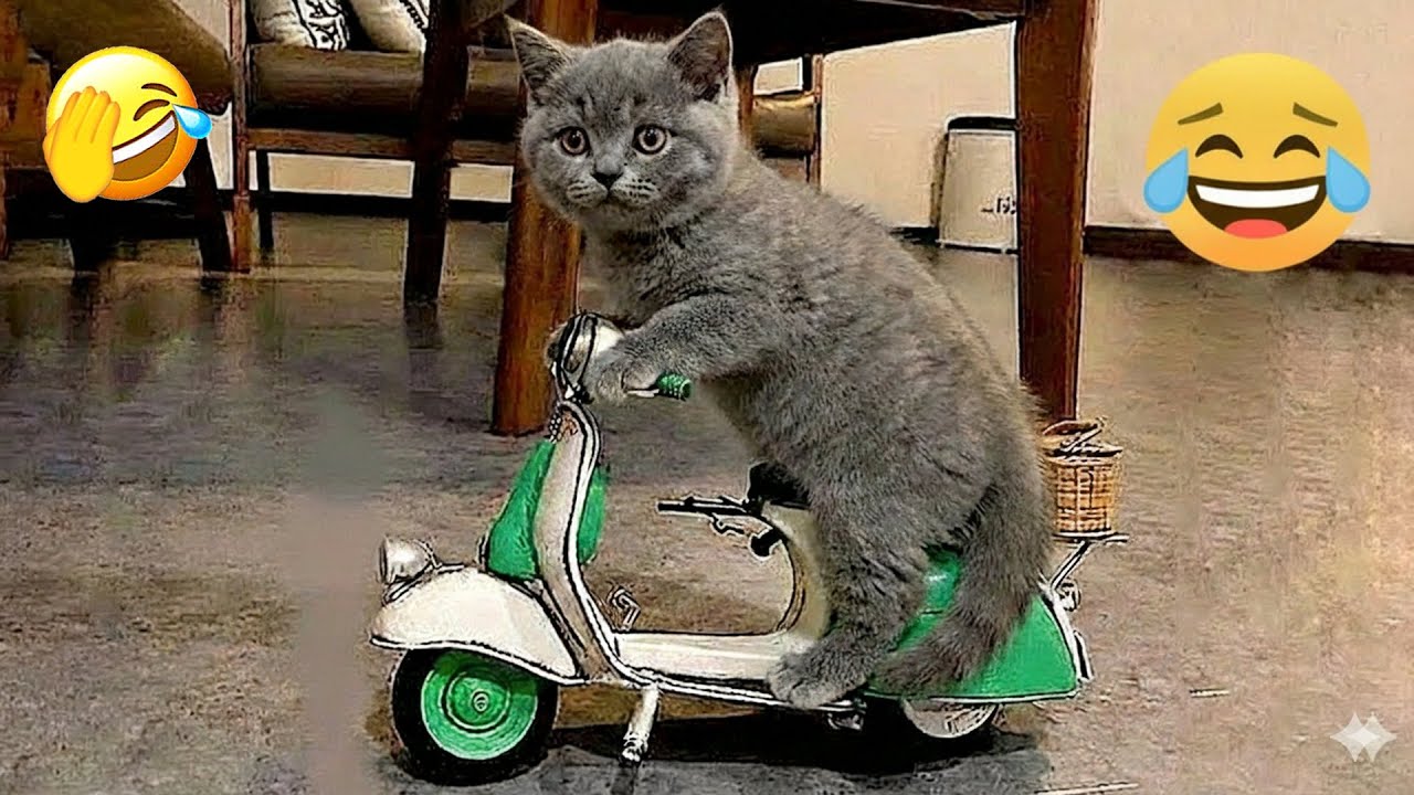 You Laugh You Lose 😁 Funniest Cats and Dogs 2026🐶😼 Part 15