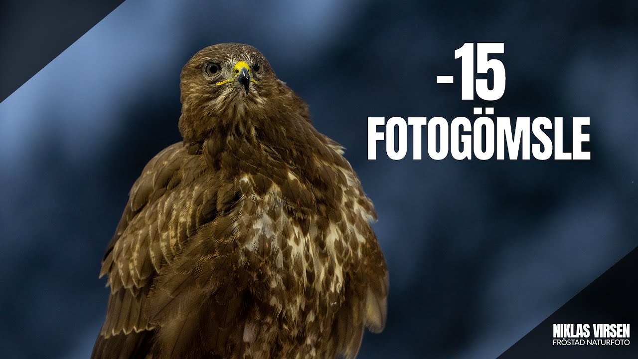 Minus 15 och magiskt ljus, följ med till mitt fotogömsle!
