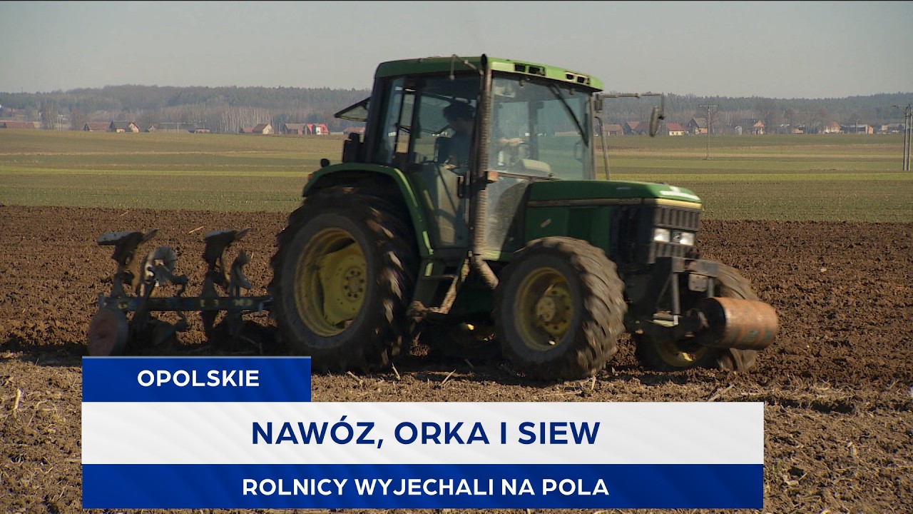Nawóz, orka i siew. Rolnicy wyjechali na pola