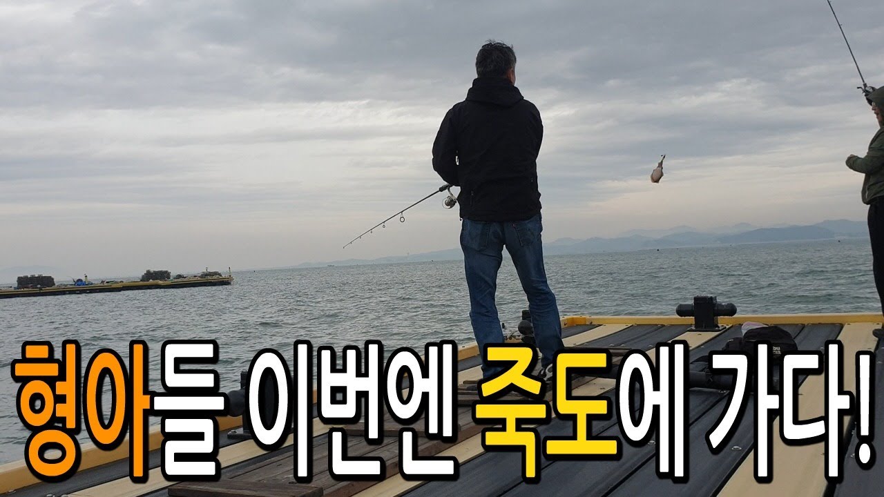 충남 홍성 죽도에서 갑오징어와 쭈꾸미를 잡다!
