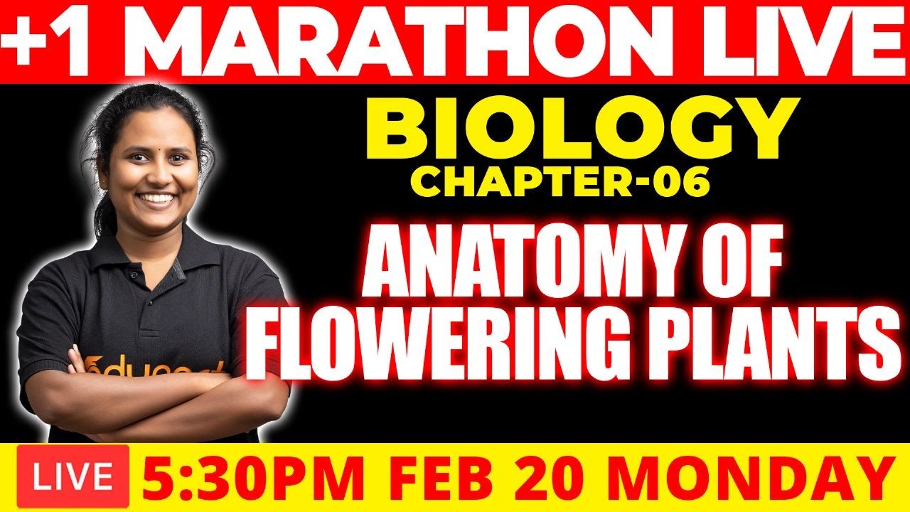 Plus One Model Exam Marathon Live Biology Chapter 6 Anatomy of Flowering Plants