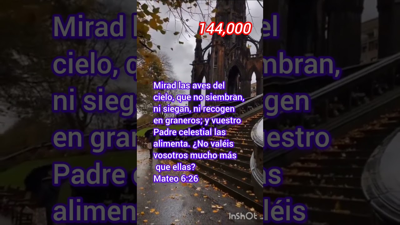 Y antes que clamen, responderé yo; mientras aún hablan, yo habré oído.Isaías 65:24 