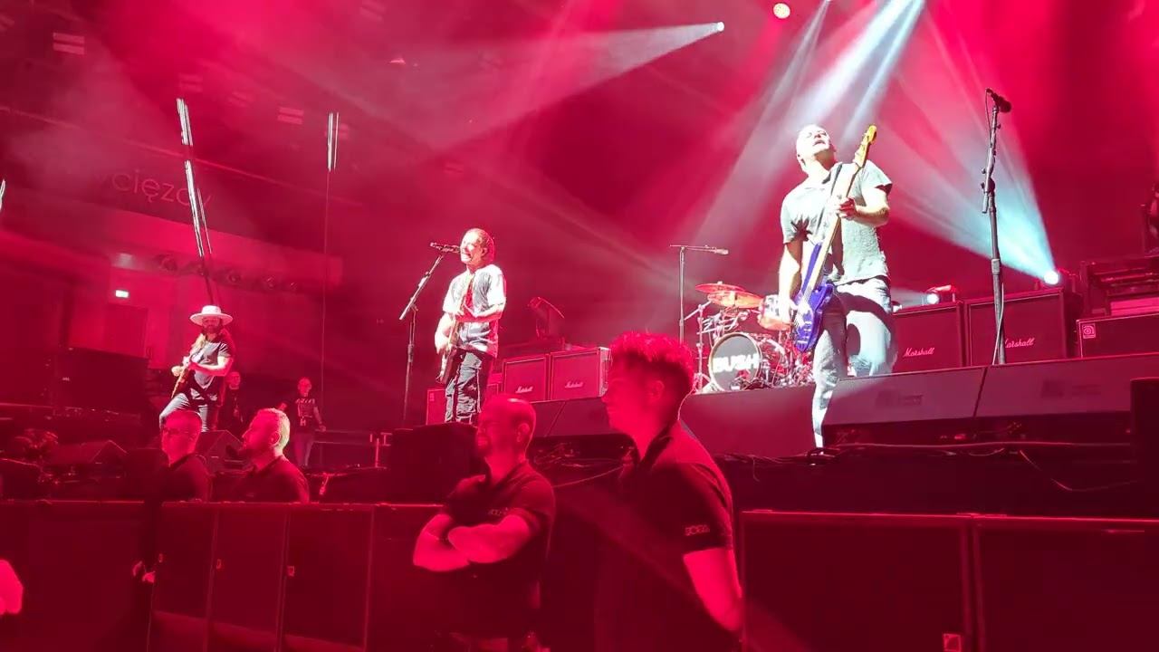 Bush - Everything Zen (live)