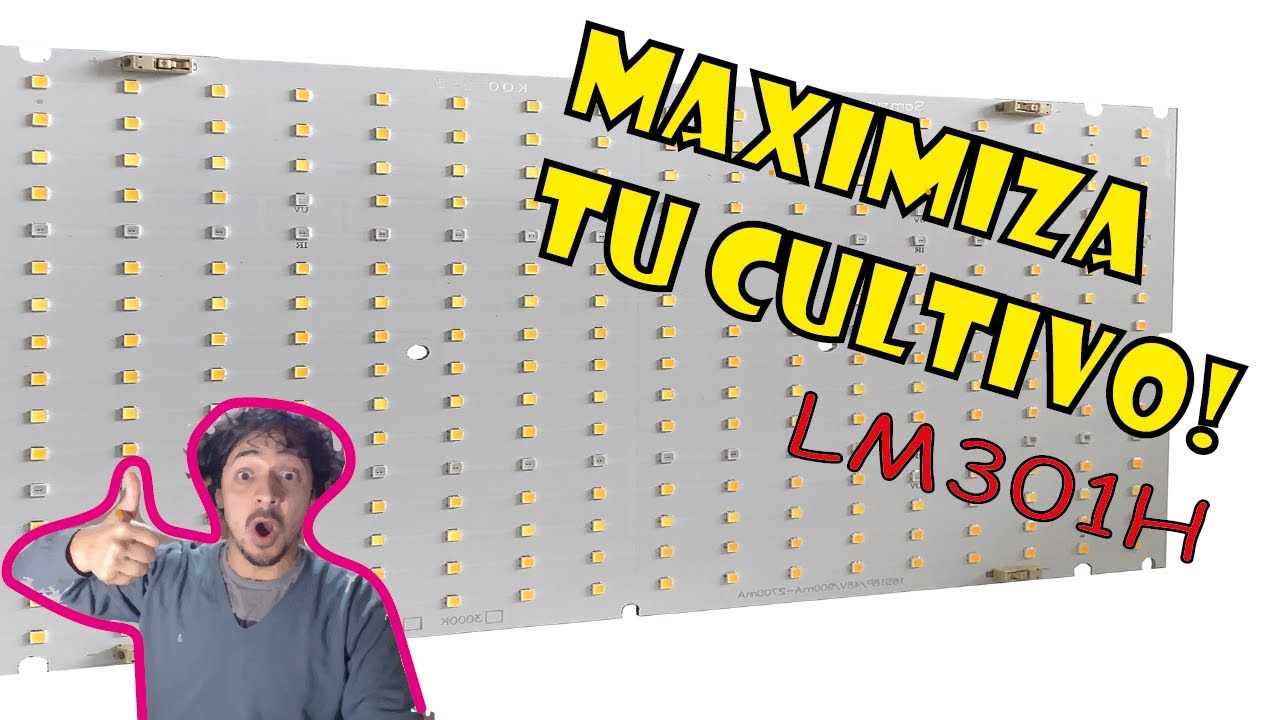 🌀QUANTUM BOARD🌀 lo que 🤓TENES QUE SABER🤓 | CHIP LM301H | Funcionamiento y conexi&oacute;n