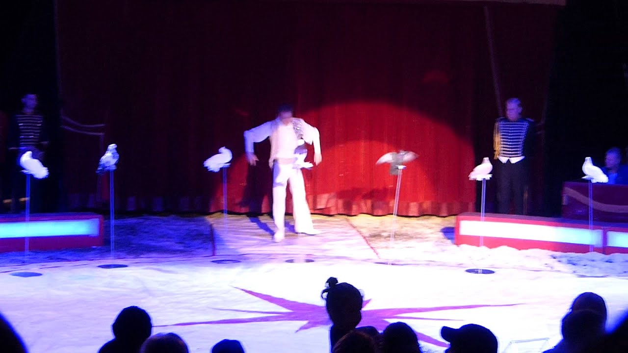 Cirkus Maximum-Magic of circus- 2015.Andrejs Fjodorovs Duvor.