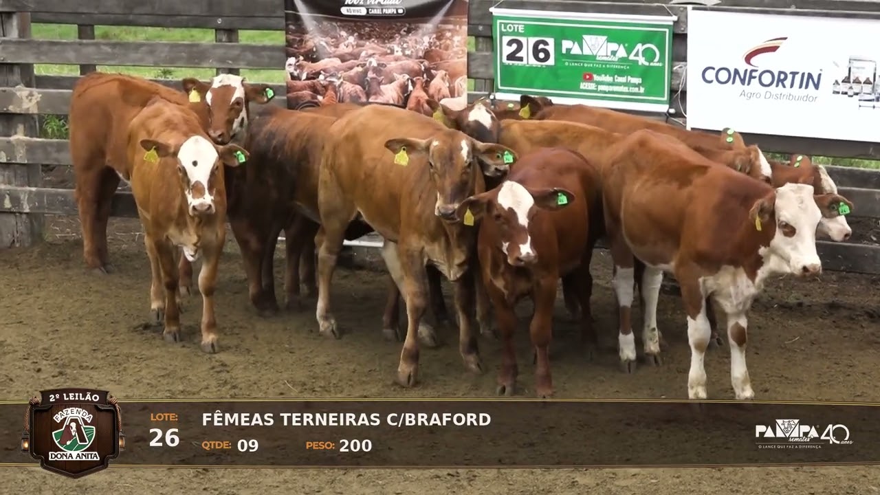 LOTE 26 - 2° Leilão Virtual Fazenda Dona Anita, PINHALZINHO/SC - 24/03/2026 19:00h