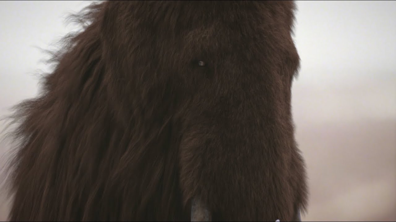 Mammut - Das Riesige S&auml;ugetier Der Steinzeit / Dokumentation