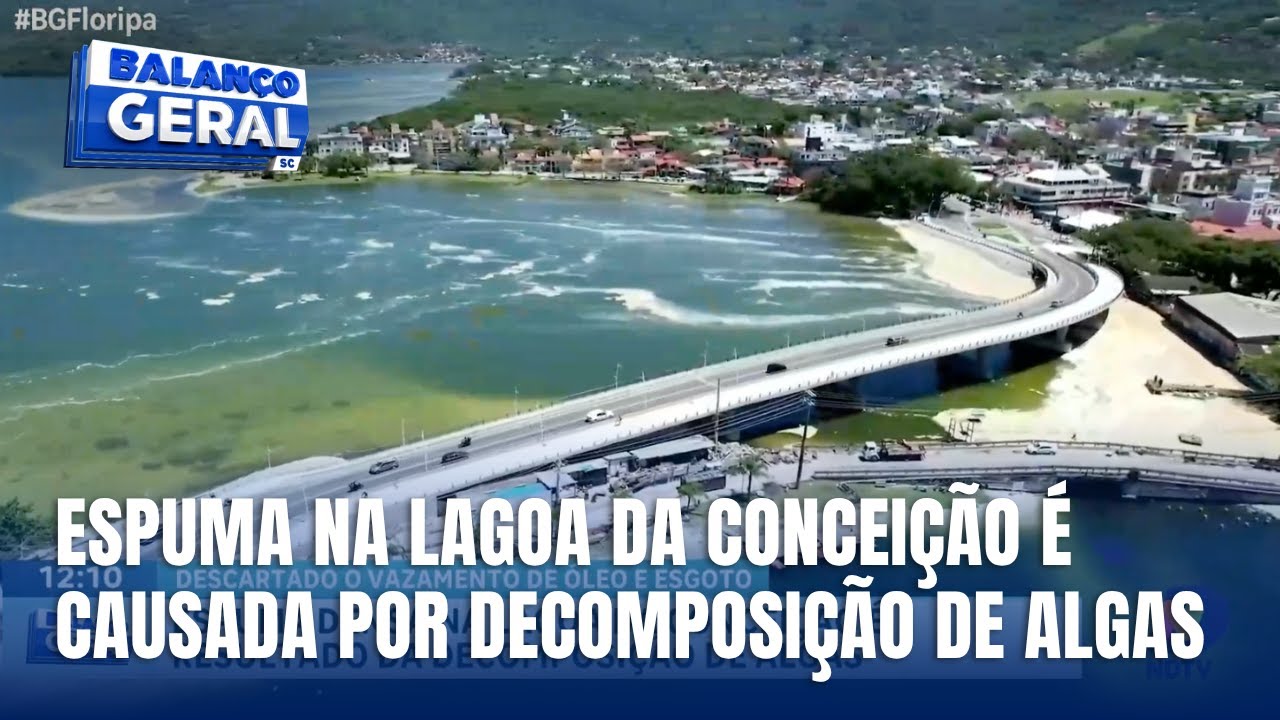 Espuma densa na lagoa da conceição é resultado da decomposição de algas