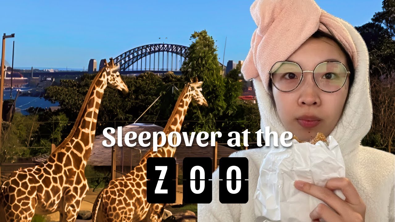 I Slept Over At The Zoo | Taronga Zoo Wildlife Retreat with Secret Tour
