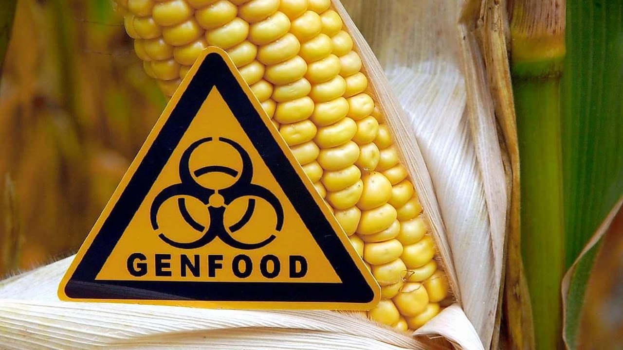 Sch&ouml;ne neue Gentechnik - Revolution in der Pflanzensucht [Doku 2016] | HD