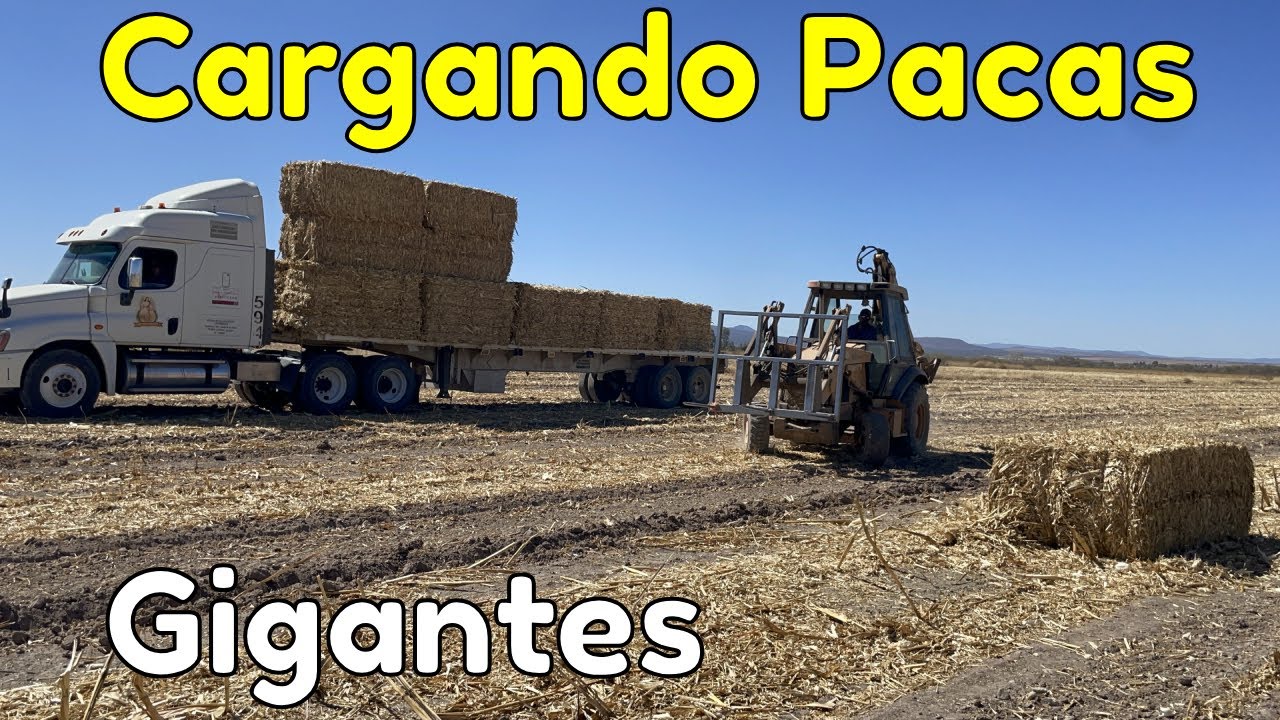 Empacadoras Gigantes Están Diseñadas Para Manejar Grandes Volúmenes De Material En Menos Tiempo. ☺️