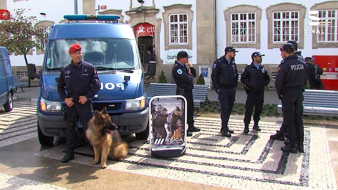 Comando Distrital da PSP de Vila Real regista descida da criminalidade