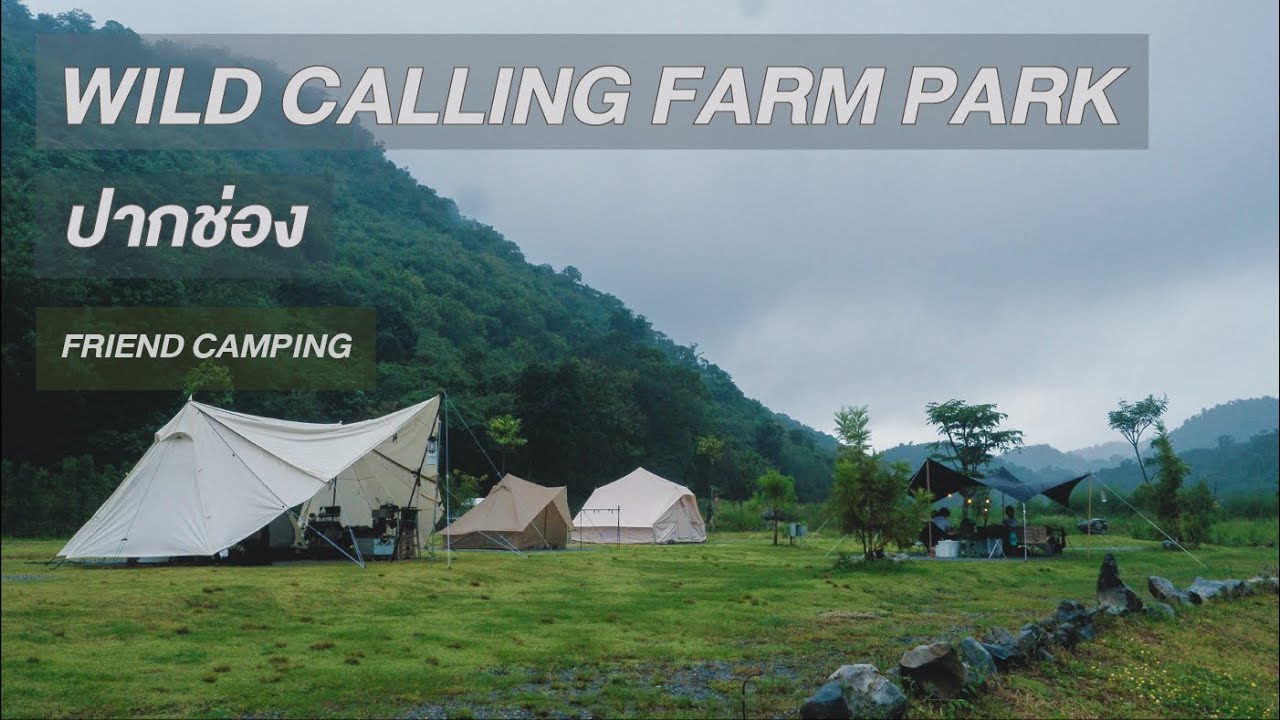 EP.4 WILD CALLING FARM PARK ปากช่อง / FRIEND CAMPING - CAMPVLOG