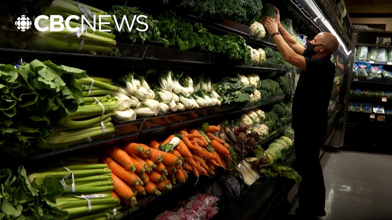 Should Alberta eliminate grocery store property controls?