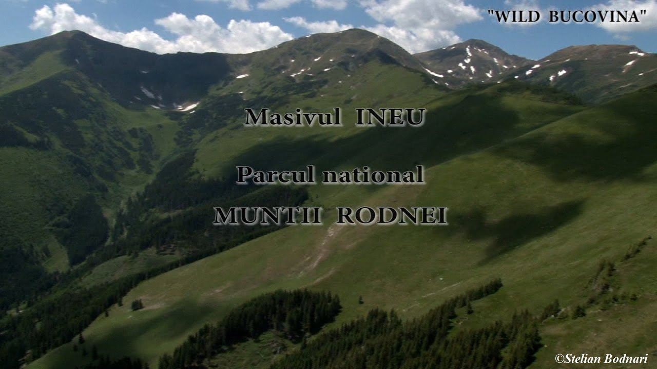 Masivul INEU Parcul naţional MUNŢII RODNEI