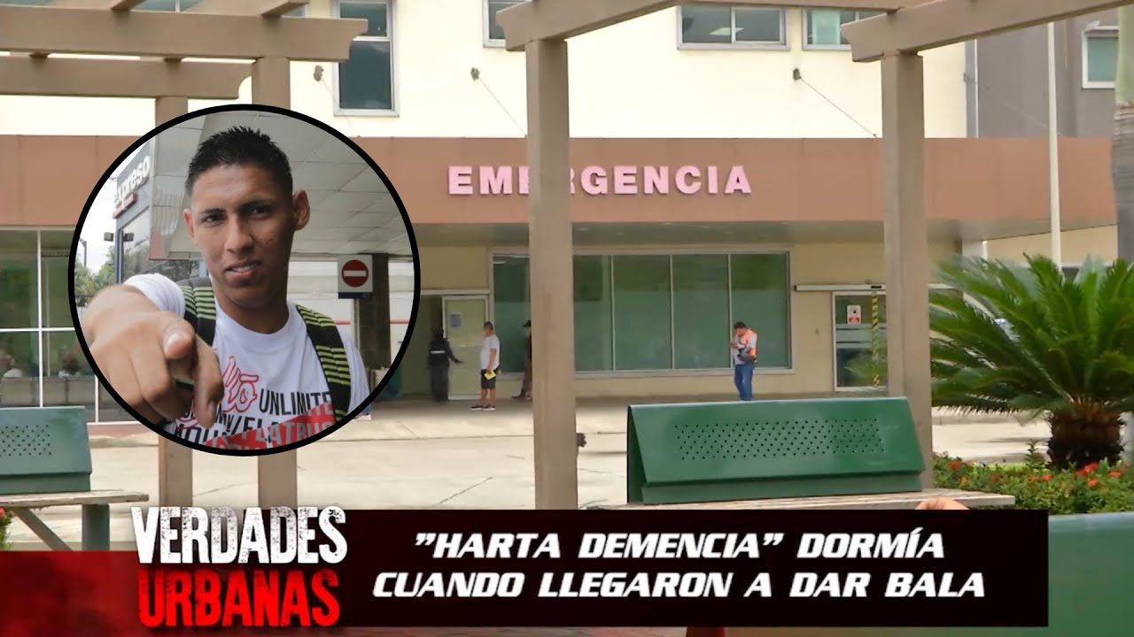 ‘Harta Demencia’ se aferra a la vida y así avanza su recuperación | Parte 2