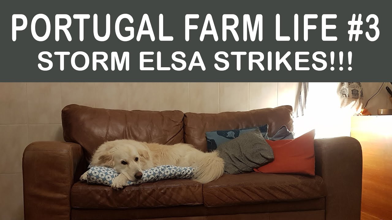 Portuguese Winter Storms - Storm Elsa Strikes | Portugal Farm Life 2-03