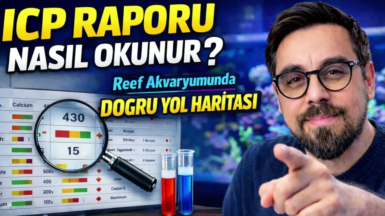 Reef Akvaryumunda ICP Raporu Nasıl Okunur? Doğru Yol Haritası