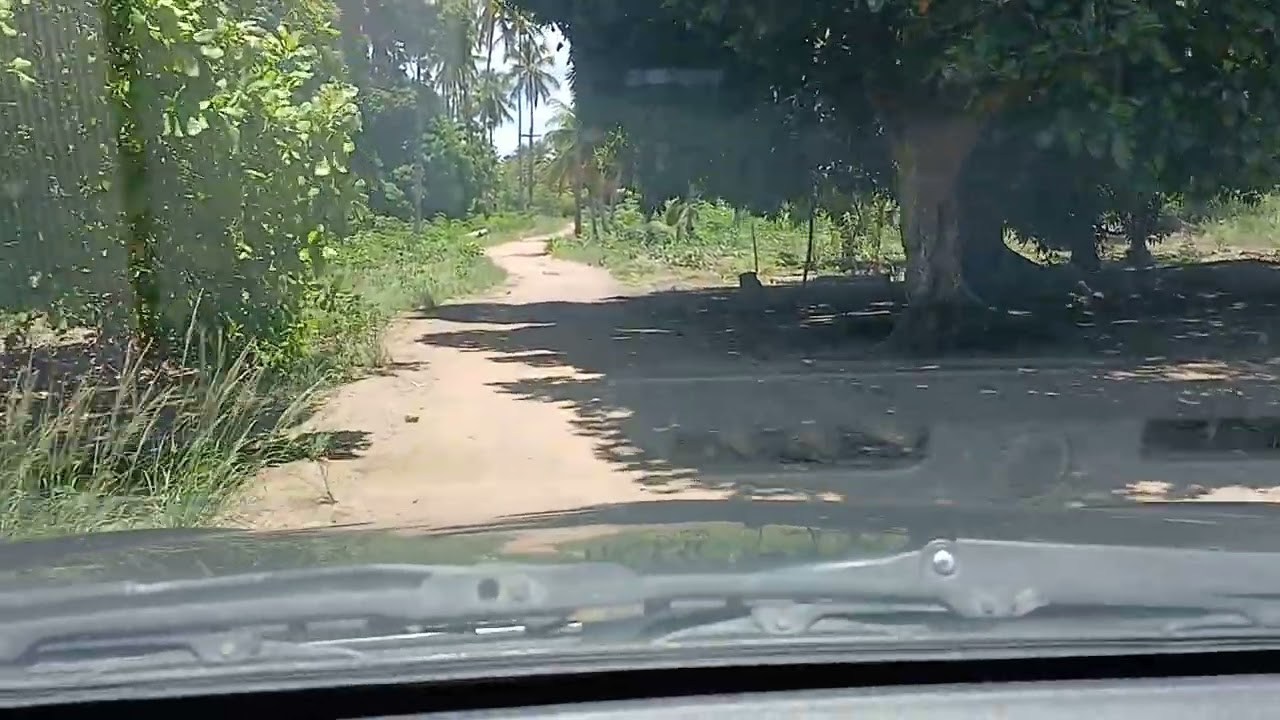 INDO PRA FAZENDA RIACHO DE VARA MUNICÍPIO DE BARRA DE SANTO ANTÔNIO ALAGOAS 