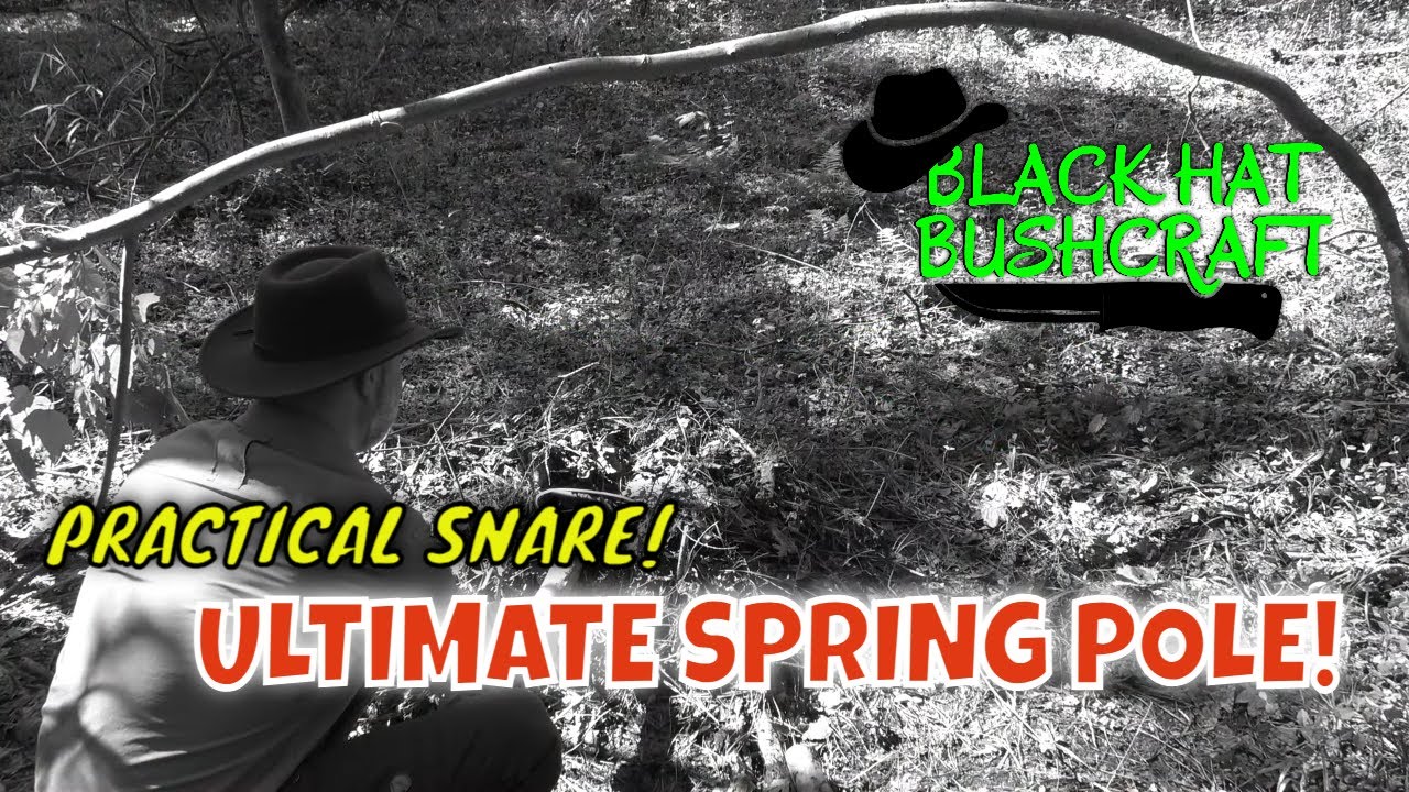 ULTIMATE Spring Pole Snare