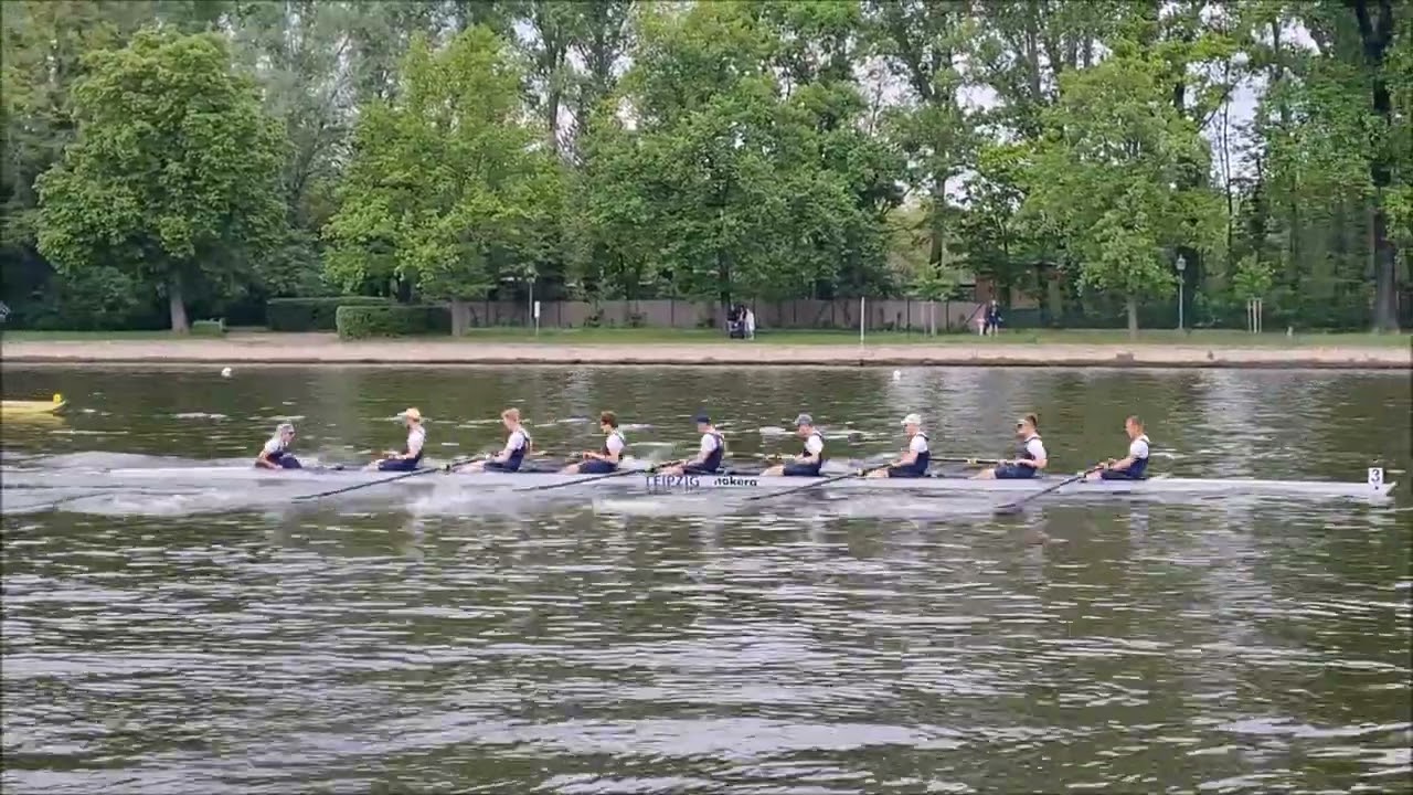 RUDERREGATTA - Über 150 Rennen auf der Saale