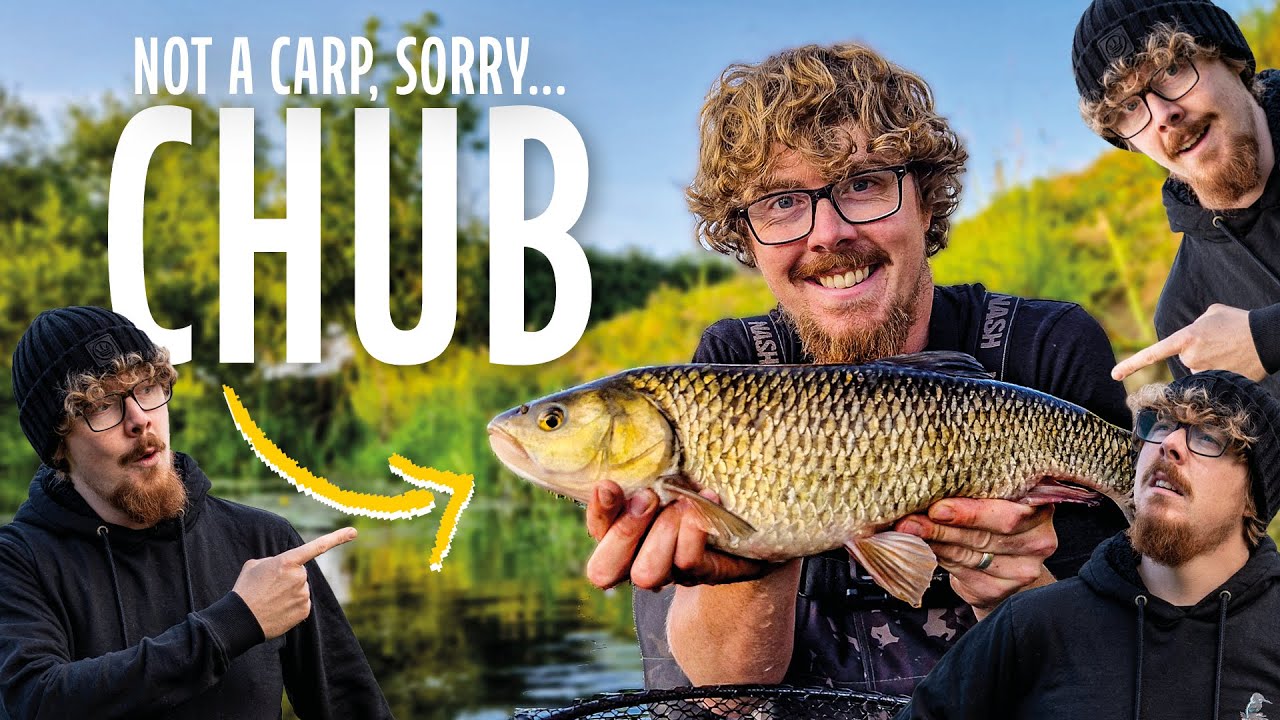 BIG Chub on Surface Lures – Rivers are Finally Open!