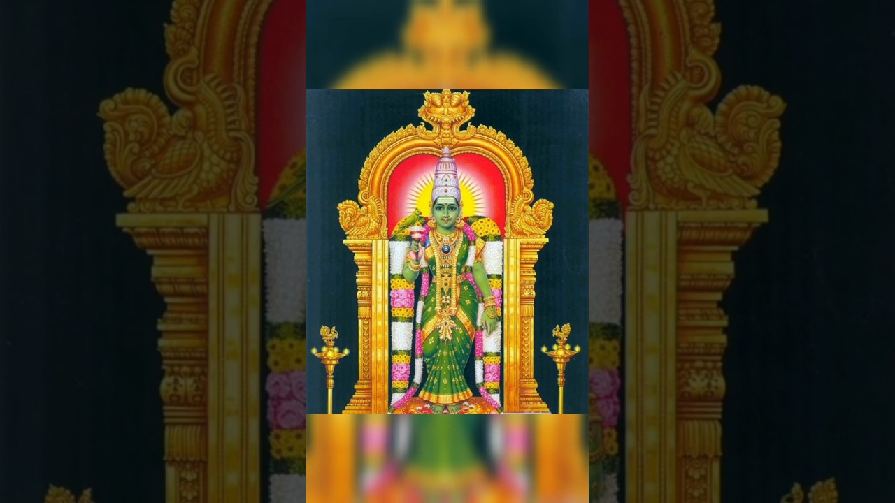 Meenakshi Amman 🙏🏻 || மீனாட்சி அம்மன் ✨🦜