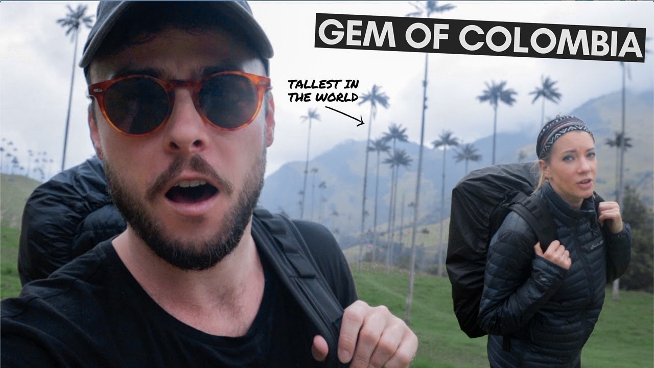 THE TALLEST PALM TREES IN THE WORLD, A GEM OF COLOMBIA 🇨🇴 COCORA VALLEY, COLOMBIA